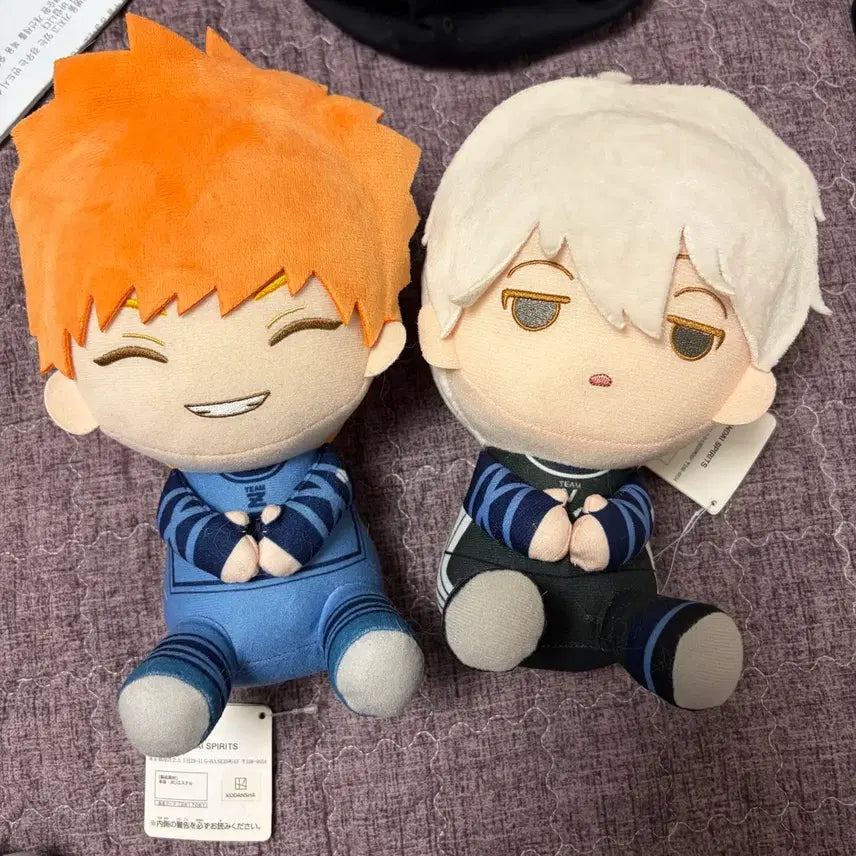 [BUNJANG] Blue Lock Kunigami Nagi "Nui" Plush Bundle Set / 브루록 나기 쿠니가미 인형 누이 일괄