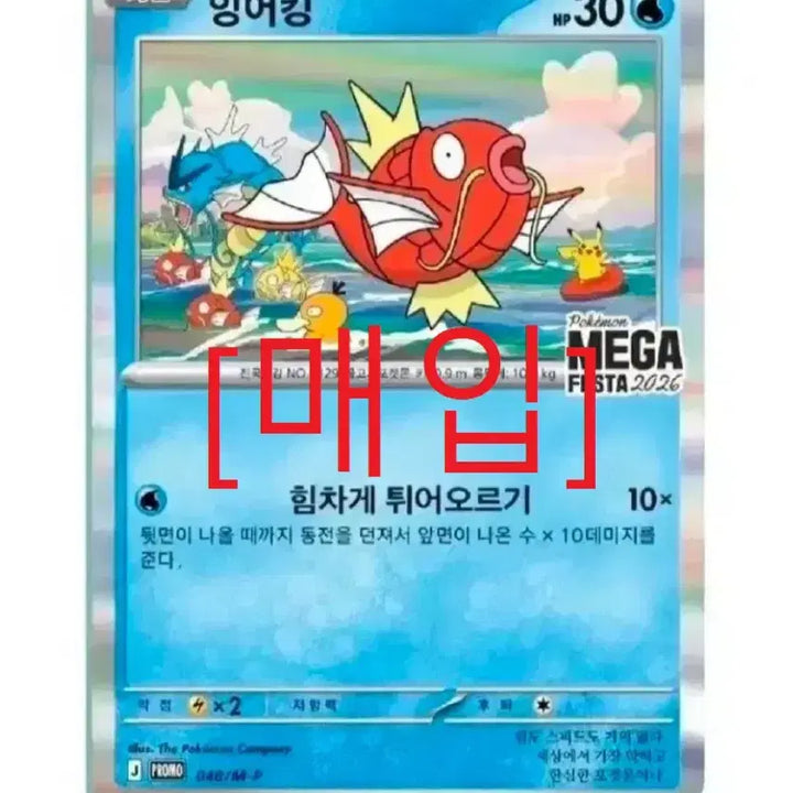 [BUNJANG] Gyarados Promo Card (Sealed) / 구매) 잉어킹 프로모 카드 미개봉으로 구매합니다