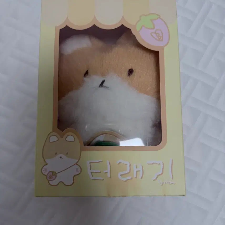 [BUNJANG] Baekhyun Plush Doll + Pineapple Outfit Bundle Set / 백현터래기인형  + 파인애플옷 일괄양도