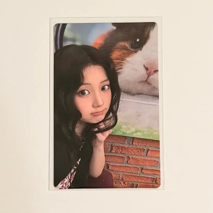 [BUNJANG] ILLIT Wonhee YouTube It&