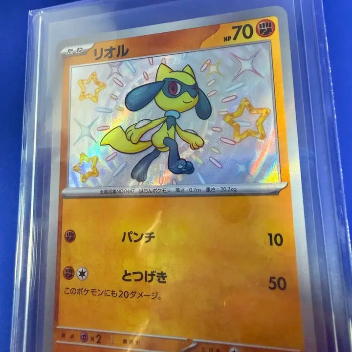 [BUNJANG] Pokemon Card Shiny Riolu Japanese Version / 포켓몬카드 리오르 이로치 일판 카드