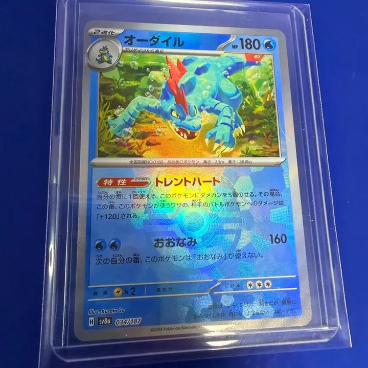 [BUNJANG] Pokemon Card Croconaw Master Ball Japanese / 포켓몬카드 장크로다일 마볼 마스터볼 일판 카드
