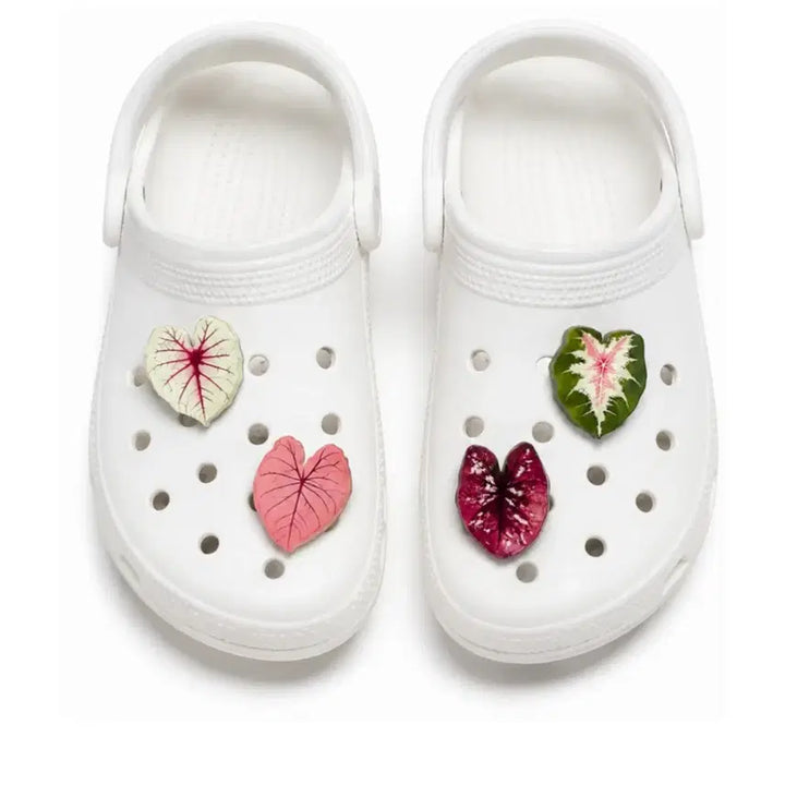 [BUNJANG] Customizable Shoe Charms Set / 신발 꾸미기 지비츠 파츠