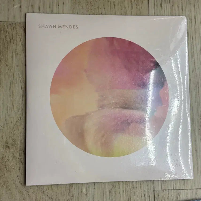 [BUNJANG] Shawn Mendes IF I CAN&