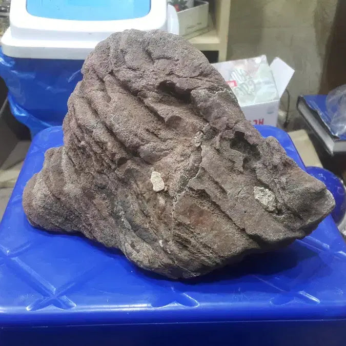 [BUNJANG] Korean Scholar Rock (Suseok) / 대한민국 수석 1