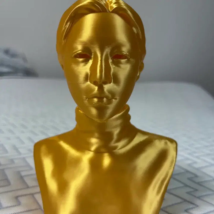 [BUNJANG] Custom Bust Portrait Commission / 본인 흉상 제작 해드립니다