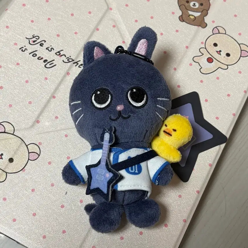 [BUNJANG] RIIZE Wonbin Little RIIZE 10cm Plush Doll / 리라즈 토냥덕 10cm 라이즈 원빈 인형 리틀라이즈