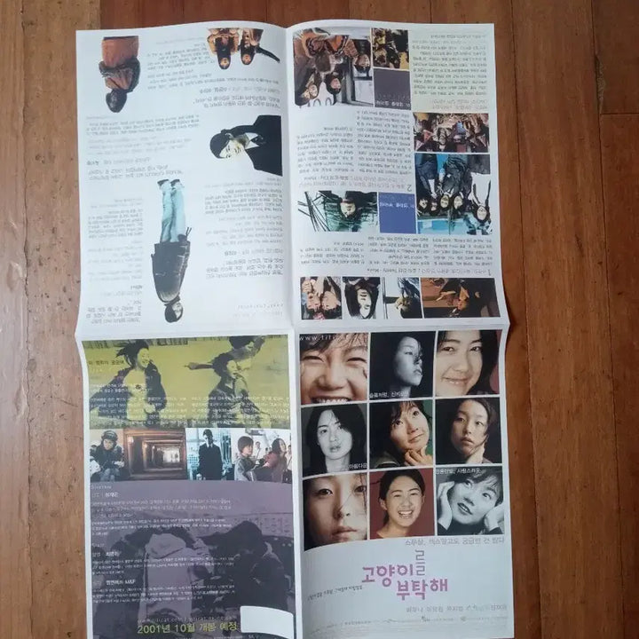 [BUNJANG] Take Care of My Cat (2001) Movie Pamphlet &amp; Air Doll Set (Bae Doona) / 영화팜플렛 고양이를 부탁해 공기인형 2종일괄 배두나  전단지 포스터