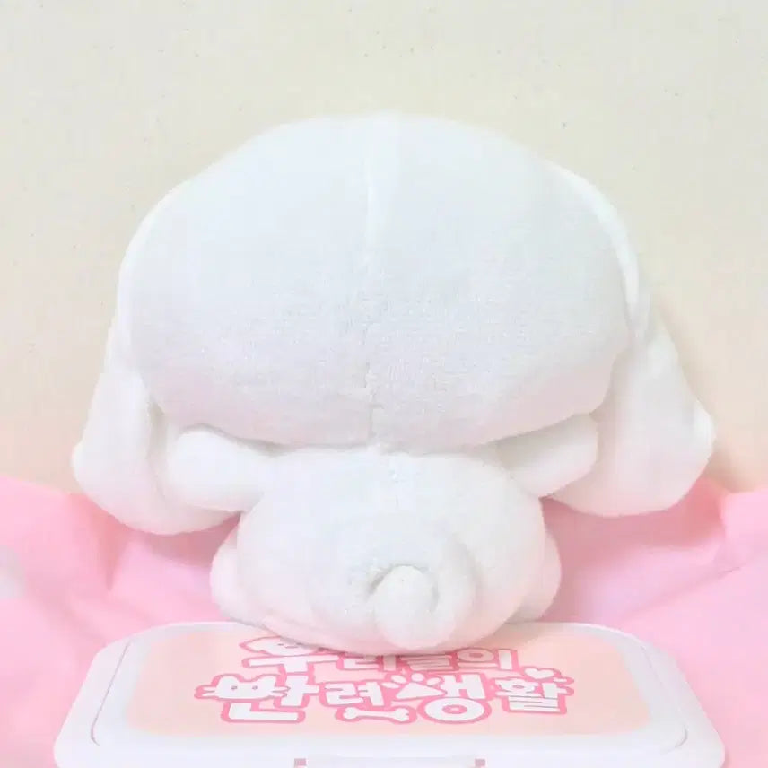[BUNJANG] Cinnamoroll Basic Small Mascot Plush Doll / 시나모롤 기본 소형 마스코트 인형