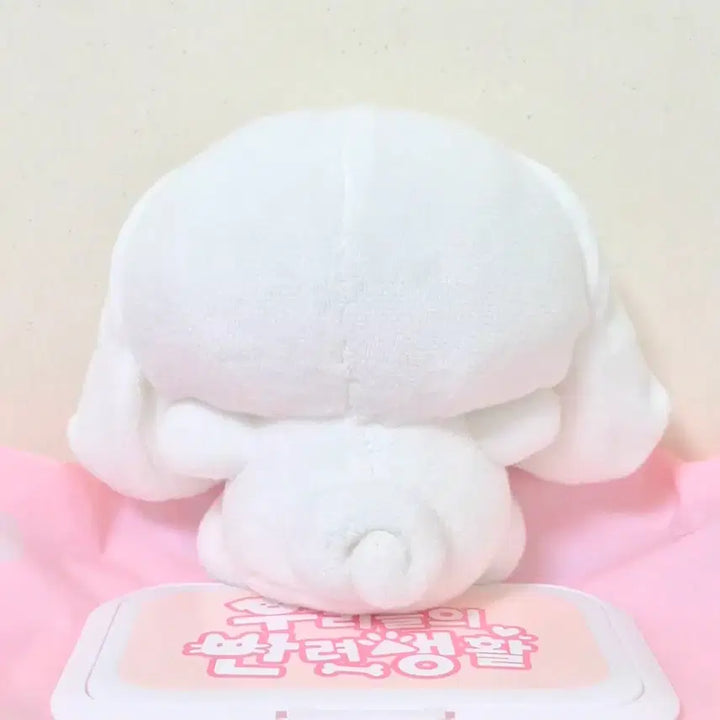 [BUNJANG] Cinnamoroll Basic Small Mascot Plush Doll / 시나모롤 기본 소형 마스코트 인형