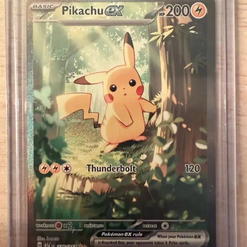 [BUNJANG] Pokemon TCG Pikachu EX Full Art Card - Ascended Heroes / 포켓몬스터 북미판 어센디드 히러로즈 피카츄 EX 풀아트 카드