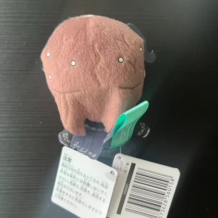 [BUNJANG] Project Sekai Lower Nui Shinonome Ena Plush / 프세카 로워 누이 시노노메 에나