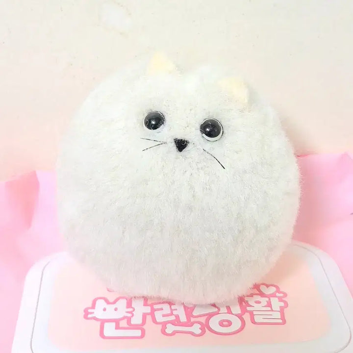 [BUNJANG] Vintage White Ivory Cat Plush Doll / 고전 빈티지 화이트 아이보리 고양이 인형