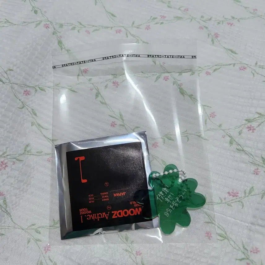 [BUNJANG] WOODZ Cho Seung Youn Japan Limited Random Keyring / 우즈 조승연 일본 한정 랜덤 키링 2