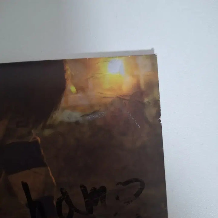 [BUNJANG] Hamo Boksu Unsealed / [hamo 하모 - 복수] 판매합니다