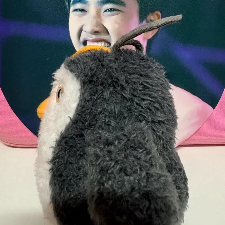 [BUNJANG] EXO D.O. Do Kyungsoo Doll Jjirengi Keyring / 10일만 판매 엑소 디오 도경수 인형 찌랭이 키링 - 외출 및 목욕 X