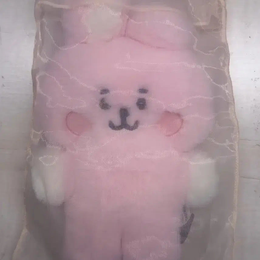 [BUNJANG] BT21 Baby Cooky BTS Jungkook 20cm Plush Doll / BT21 베이비 쿠키 방탄소년단 정국 20cm 인형 플랫퍼