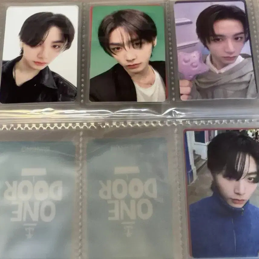 [BUNJANG] BOYNEXTDOOR Taesan Photocard / 보이넥스트도어 태산 포카