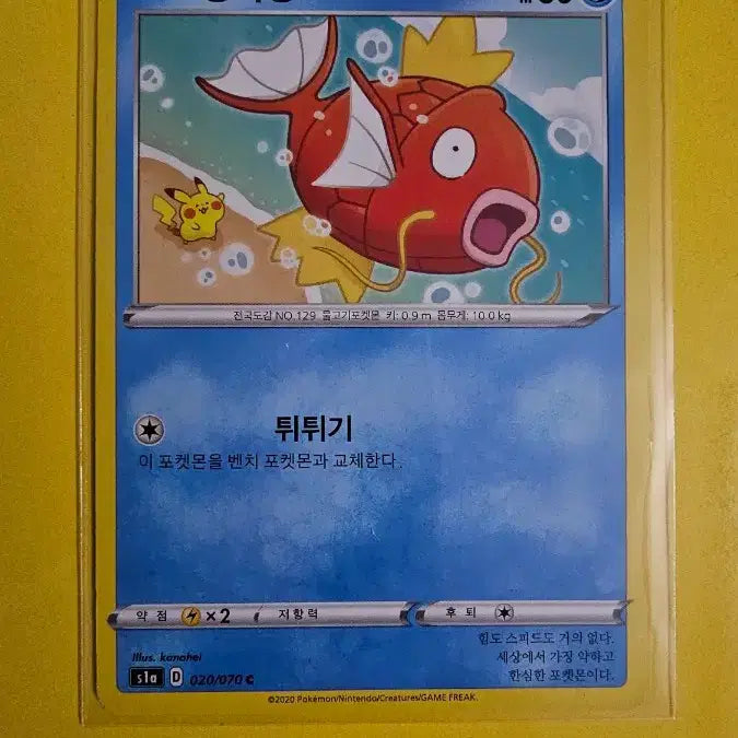 [BUNJANG] Pokemon Magikarp Promo Card &amp; Magikarp Cards Bundle / 포켓몬 잉어킹 프로모 카드와 다른 잉어킹 카드들