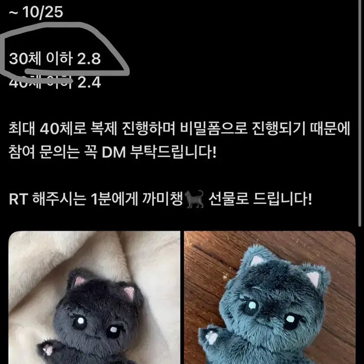 [BUNJANG] Fromis_9 Lee Chaeyoung Kkami Chaeng 10cm Doll / 원가 이하)프로미스나인 이채영 10cm인형 까미챙 양도