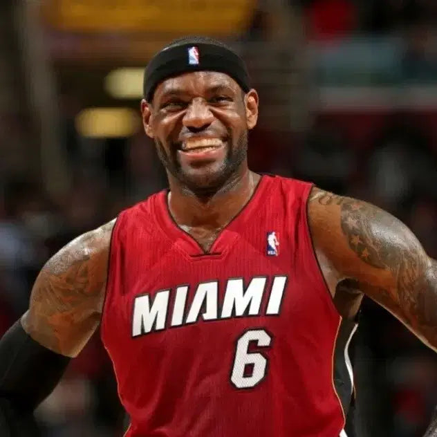 [BUNJANG] LeBron James 2013 Miami Heat Action Figure / 르브론 제임스 피규어 (핫토이X엔터베이X작가작)