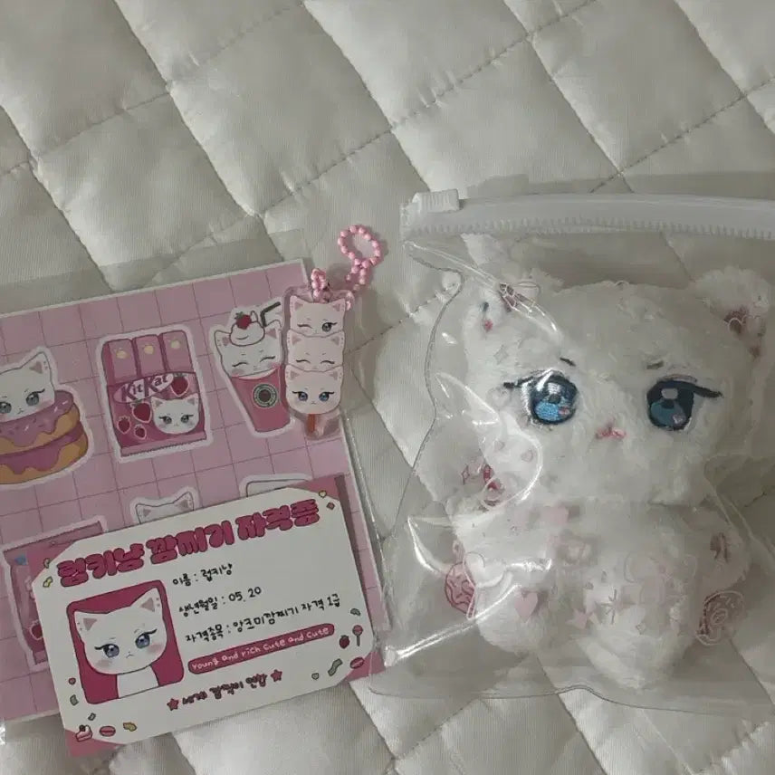 [BUNJANG] THE BOYZ Ricky Lucky Cat Plush Set / 마지막가격내림,급처)앤더블 리키 인형 럽키냥 양도