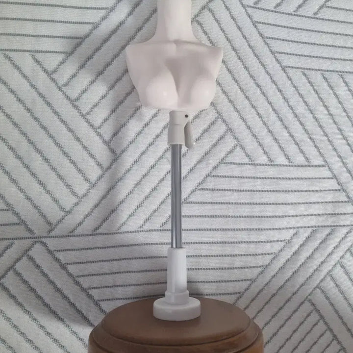 [BUNJANG] BJD MSD~SD Torso (White Skin) - Chinese Brand / 구체관절인형 BJD 구관 MSD~SD 중국샵 여아 미백 토르소