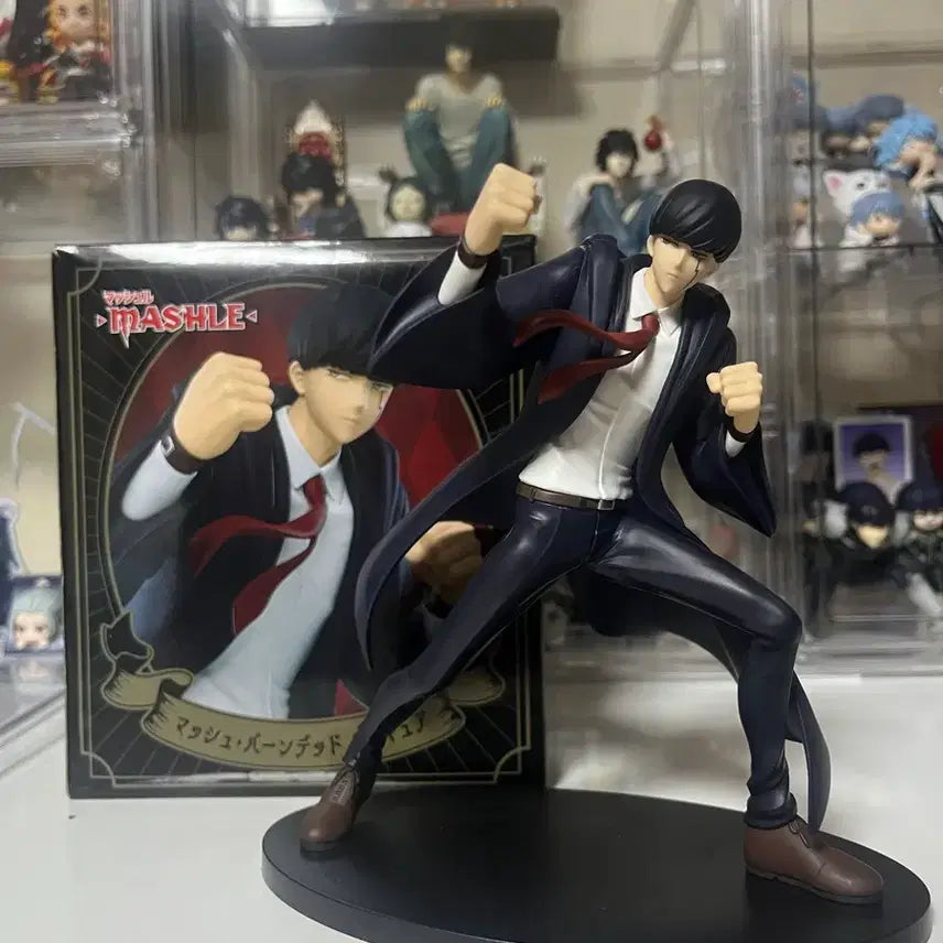 [BUNJANG] Taito Mashle Mash Figure / 타이토 마슐 마슈피규어