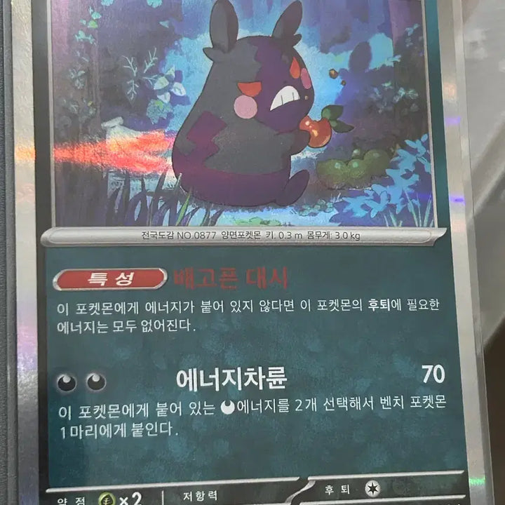 [BUNJANG] Pokemon Card Morpeko 098/187 Hologram / 포켓몬 카드 모르페코 098/187 홀로그램