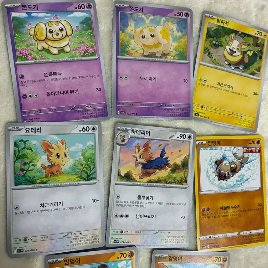 [BUNJANG] Pokemon Card Cute Dog Types (Jolteon, Yamper, Lillipup, Rockruff) / 포켓몬 카드 귀여운 강아지 타입들 ( 쫀도기, 멍파치, 요테리, 암멍이