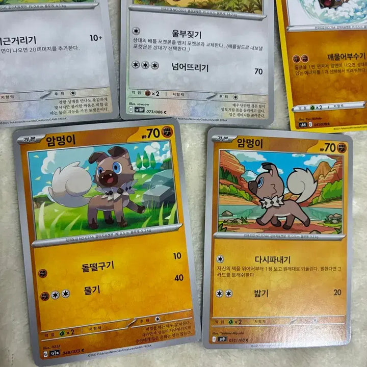 [BUNJANG] Pokemon Card Cute Dog Types (Jolteon, Yamper, Lillipup, Rockruff) / 포켓몬 카드 귀여운 강아지 타입들 ( 쫀도기, 멍파치, 요테리, 암멍이