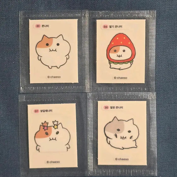 [BUNJANG] Jjonnyami Tteobusal Sticker Collection / 쫀냐미 띠부씰 판매