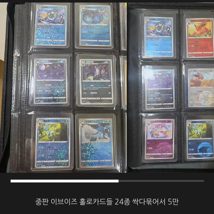 [BUNJANG] Pokemon Cards Eeveelutions 24 Types Holo / 포켓몬카드 중판 이브이즈 24종 홀로