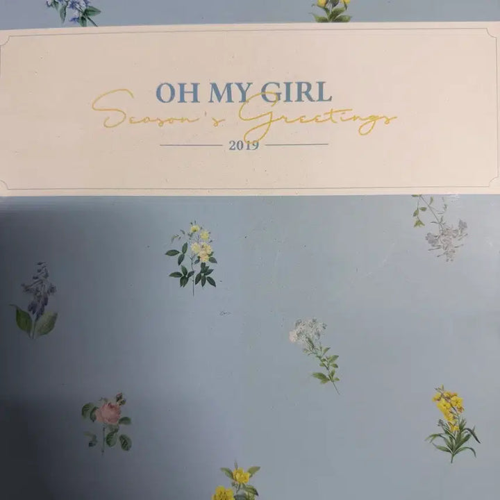 [BUNJANG] OH MY GIRL 2019 Season&