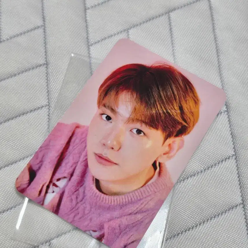 [BUNJANG] BAEKHYUN Solo MD iPad Tablet Pouch / (미사용) EXO 백현 솔로MD 아이패드 타블릿 파우치 + 포토카드