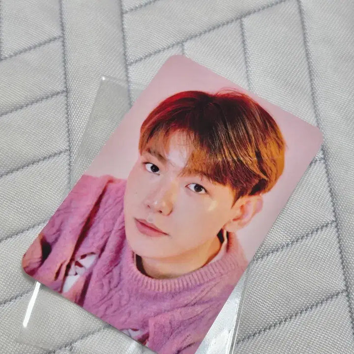 [BUNJANG] BAEKHYUN Solo MD iPad Tablet Pouch / (미사용) EXO 백현 솔로MD 아이패드 타블릿 파우치 + 포토카드