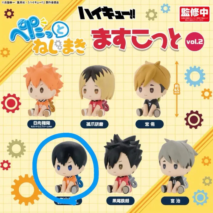 [BUNJANG] Haikyuu!! Kageyama Tobio Petatto / (마지막 가격 내림) 하이큐 카게야마 페탓토