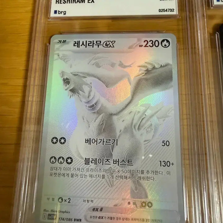 [BUNJANG] BW Reshiram, Zekrom Bundle Set Graded Cards / Brg10 한판 bwr 레시라무, 제크로무 일괄 등급카드