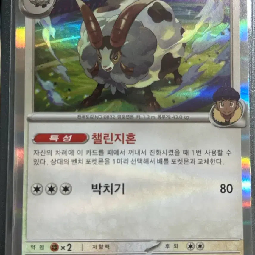 [BUNJANG] Pokemon Card Baa&