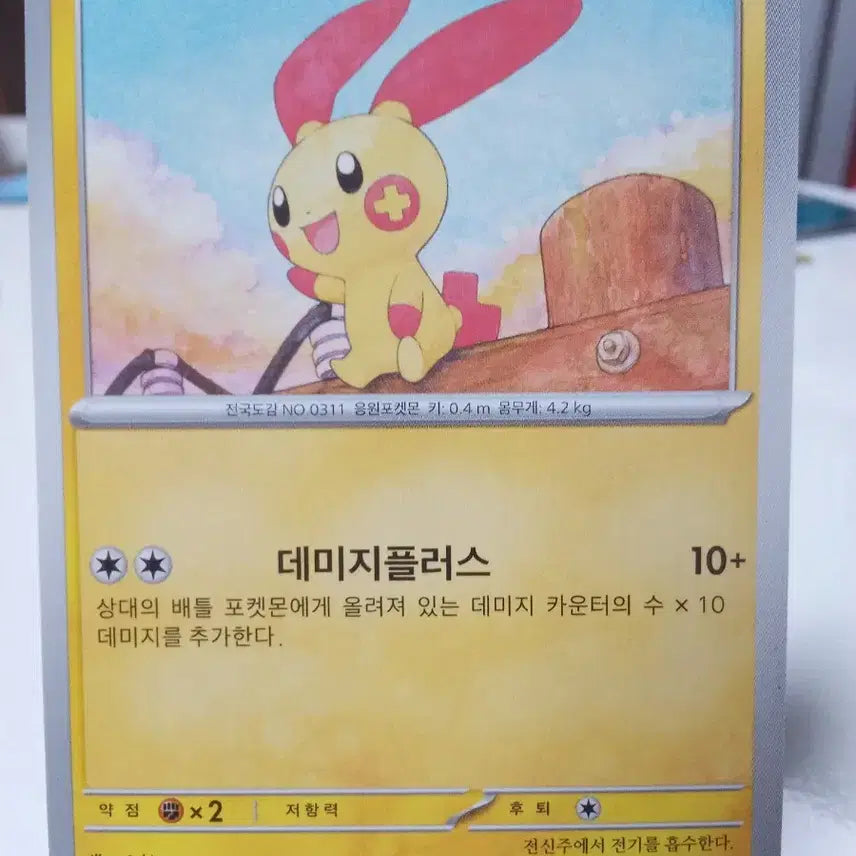 [BUNJANG] Pokemon Card Plush SV3A 014/062 C / 포켓몬 카드 플러시 sv3a 014/062 C