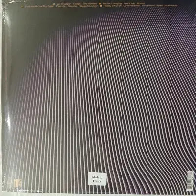 [BUNJANG] Tame Impala Currents 2LP Vinyl Record / [리이슈엘피] Tame Impala   Currents
