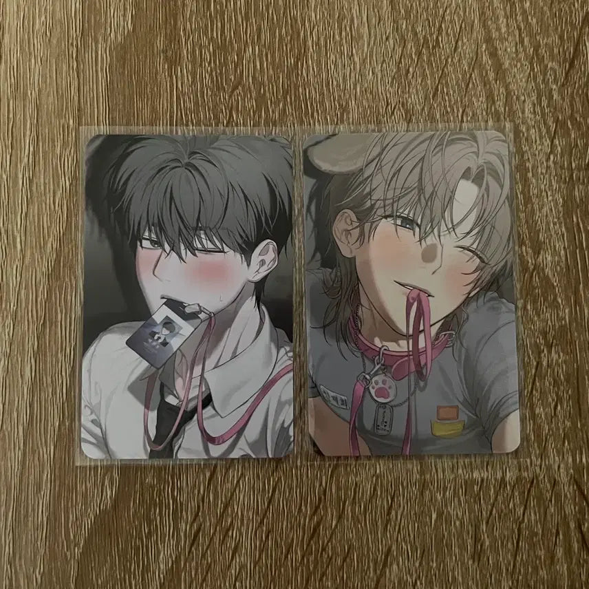 [BUNJANG] Mible Company 5th Special Edition Bundle Set / 미블컴퍼니 사용후반품불가 사반불 백천호 신제희 5특 일괄