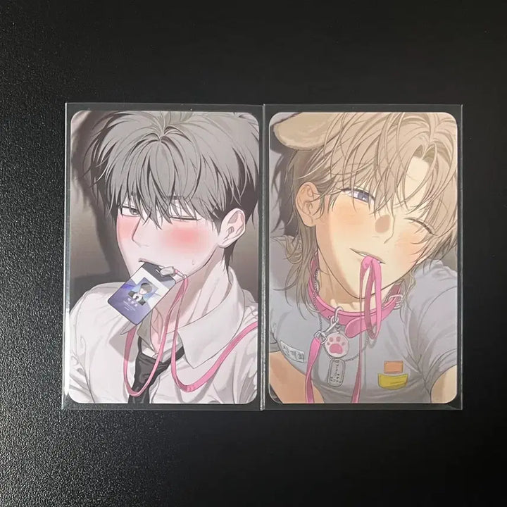 [BUNJANG] Mible Company 5th Special Edition Bundle Set / 미블컴퍼니 사용후반품불가 사반불 5특 일괄