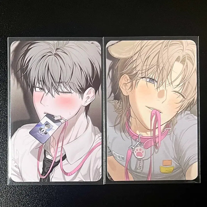 [BUNJANG] Mible Company 5th Special Edition Bundle Set / 미블컴퍼니 사용후반품불가 사반불 5특 일괄