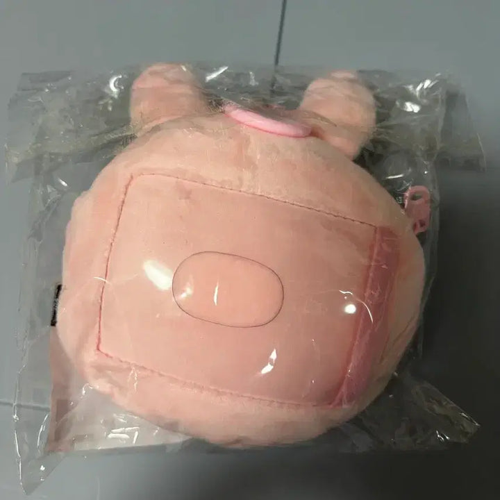 [BUNJANG] Day6 Wonpil Dennimals Reel Pass Pouch / (미사용) 데이식스 원필 데니멀즈 릴패스 파우치 판매