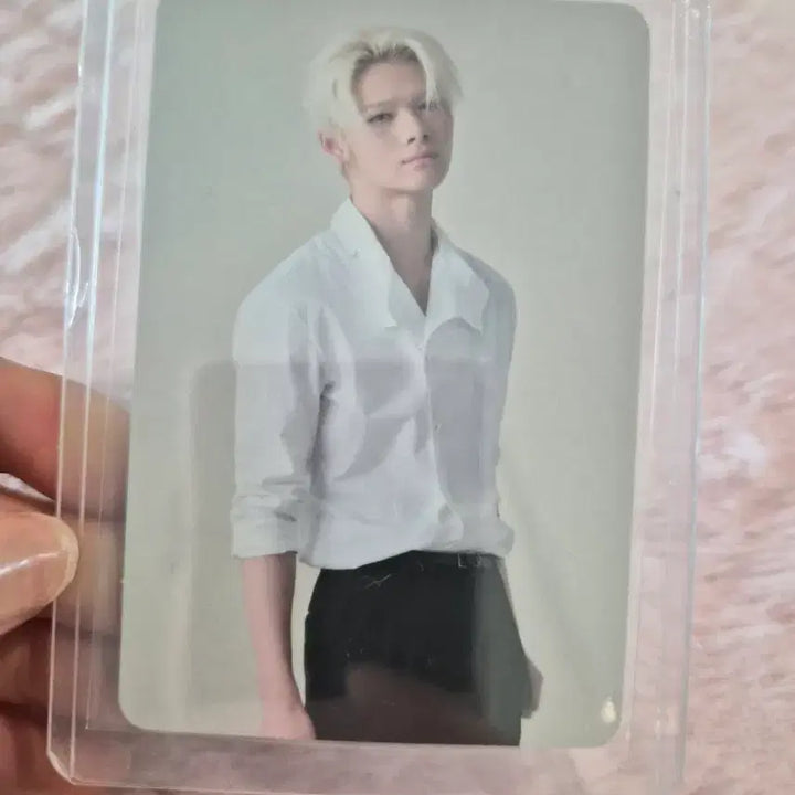 [BUNJANG] ENHYPEN Niki Marriott Bonvoy Photocard / 엔하이픈 니키 Marriott Bonvoy 포토카드 양도