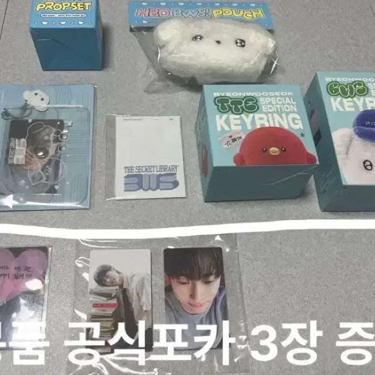[BUNJANG] Byeon Woo Seok Fan Meeting Goods Photocard Holder and Photocard Set Bundle / 변우석인형 변우서키링 변우석포카 변우석팬미팅 변우석팬미팅굿즈 변우석굿즈 변우석