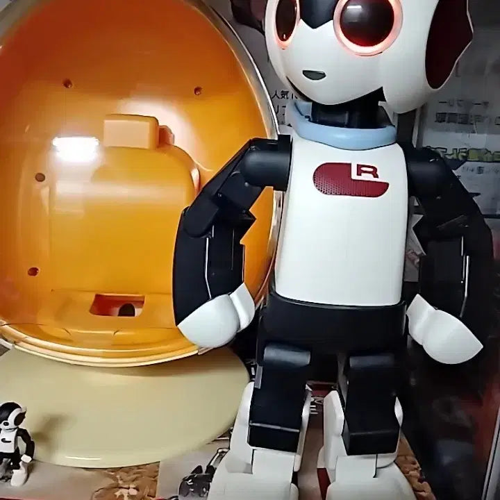 [BUNJANG] DeAGOSTINI Robby + Al-jip Assembly Books and Parts / 데아고스트니(로비+알집)