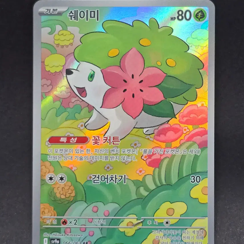 [BUNJANG] Pokemon Card Shaymin AR / 포켓몬카드 쉐이미 AR