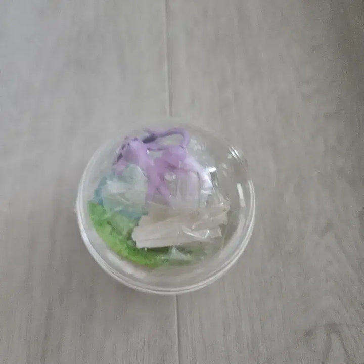 [BUNJANG] Pokemon Terrarium Vol. 5 / 포켓몬 테라리움 5탄